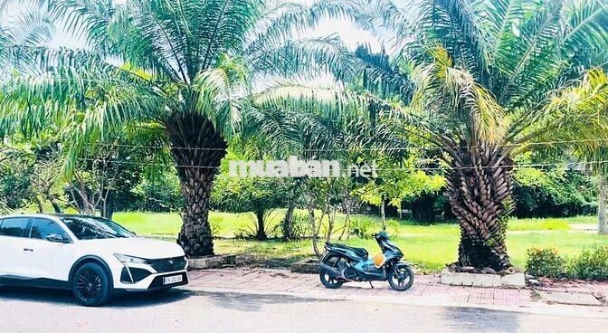 Bán đất đẹp golden A ngay trung tâm Bến Cát TP. HCM