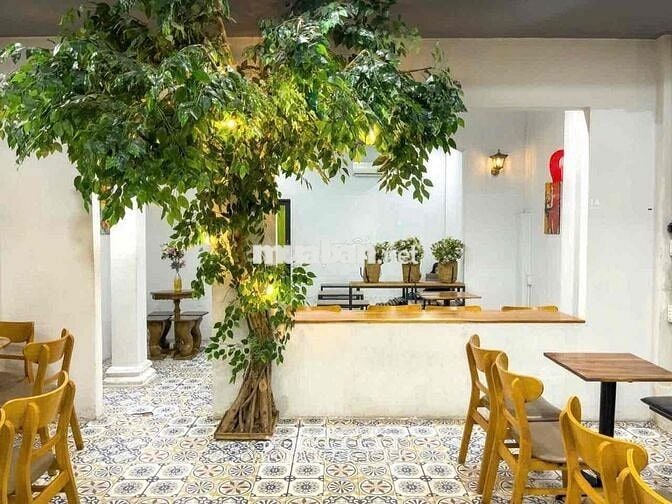 Cầm sang gắp mặt bằng đường Trần Văn Ơn giá rẽ chỉ 130triệu