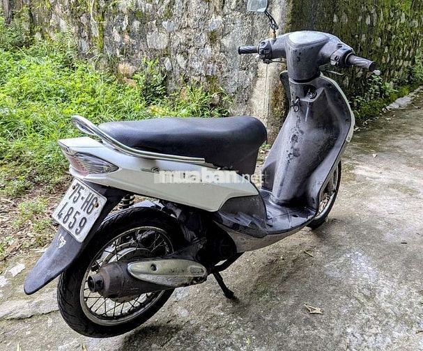 Mio trắng