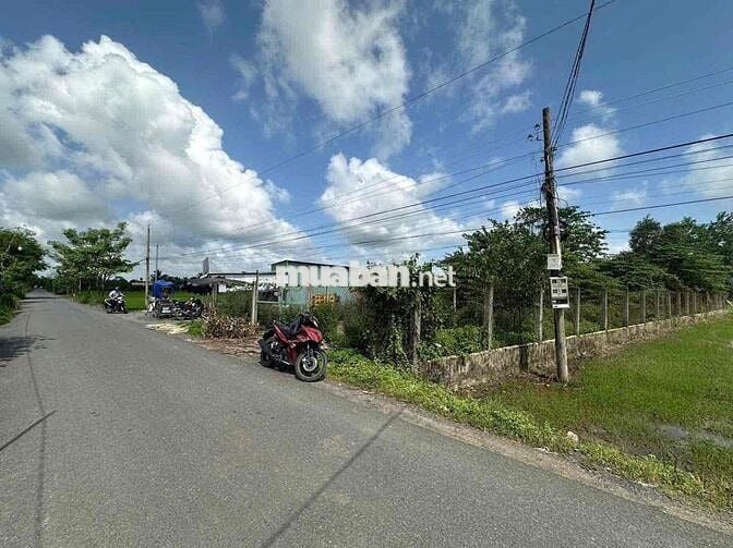 🌈 485m² thổ cư nhựa Nhựt Chánh. Cách uỷ ban 200m