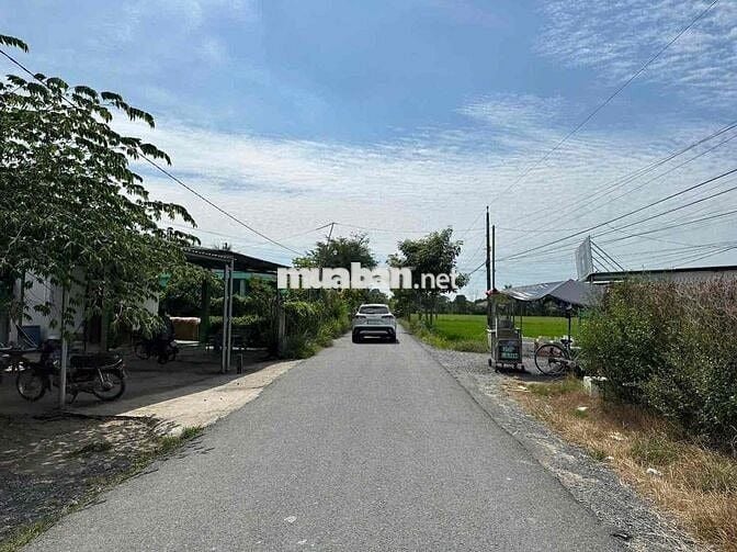 🌈 485m² thổ cư nhựa Nhựt Chánh. Cách uỷ ban 200m