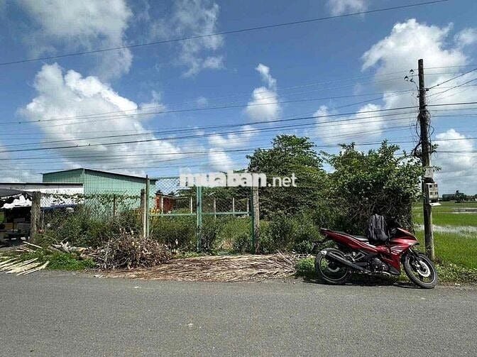 🌈 485m² thổ cư nhựa Nhựt Chánh. Cách uỷ ban 200m
