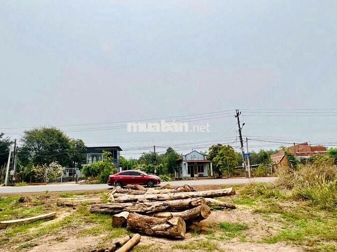 Chính chủ cần bán, giá rẻ 540 triệu mặt tiền đường nhựa