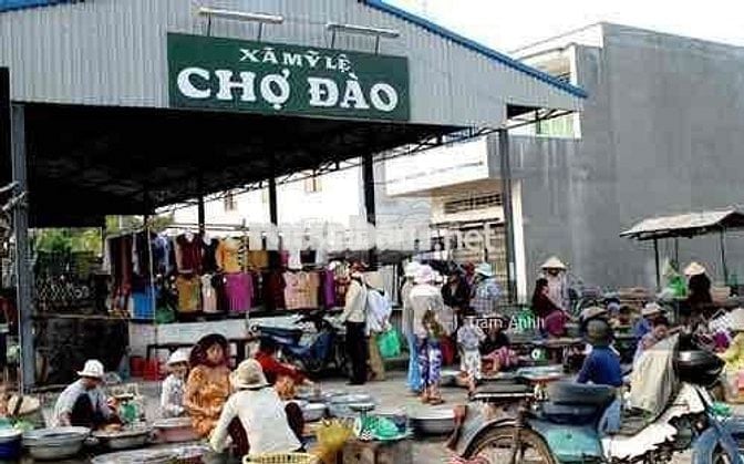 Bán 284,6 m2 Đất mặt tiền Thổ cư đường. DT 826(Đinh Đức Thiện nối dài)