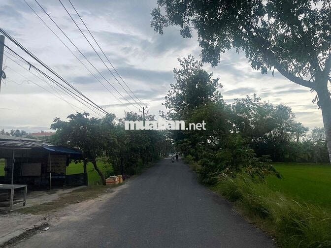 175m2 Đất full thổ cư ngay Tỉnh lộ 7 gần trường mầm non Thái Mỹ