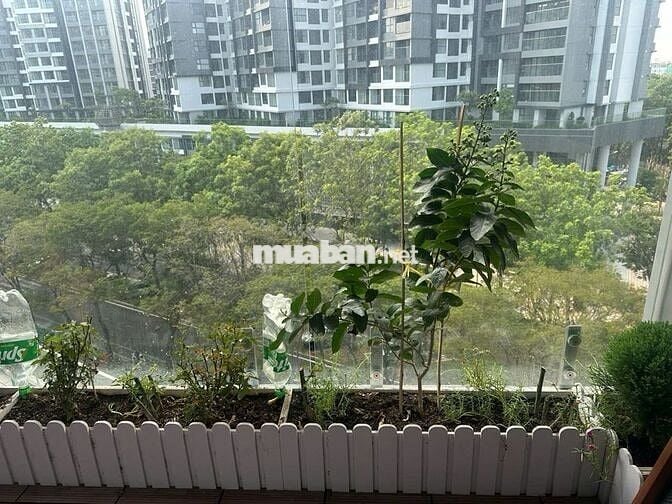Bán căn Diamond Alnata 3PN Giá 7,5 tỷ FUll NT đẹp ở ngay- Celadon City