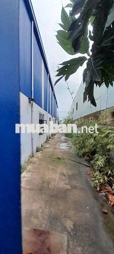 Bán nhà xưởng , xây dựng : 5.000m2, KCN Đức Hòa, Long An,PCCC tự động