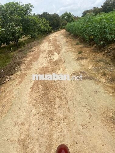 CHỈ 650T SỞ HỮU NGAY LÔ ĐẤT 1500M2 CÓ 18M MẶT TIỀN,GIÁ ĐẦU TƯ SINH LƠI