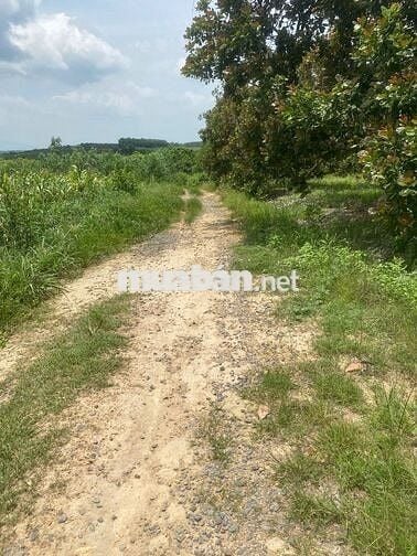 CHỈ 650T SỞ HỮU NGAY LÔ ĐẤT 1500M2 CÓ 18M MẶT TIỀN,GIÁ ĐẦU TƯ SINH LƠI