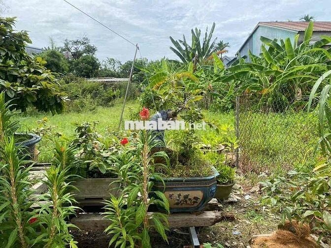 Bán đất dân Tdp Chiết Bi- gần Khu đô thị Mỹ Thượng