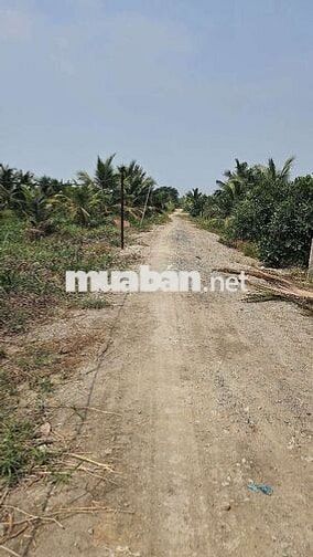 1.000m2 đất vườn 1ty700 triệu đồng