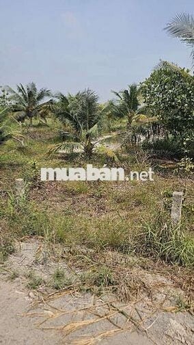 1.000m2 đất vườn 1ty700 triệu đồng