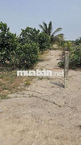 1.000m2 đất vườn 1ty700 triệu đồng
