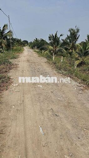 1.000m2 đất vườn 1ty700 triệu đồng