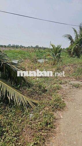 1.000m2 đất vườn 1ty700 triệu đồng