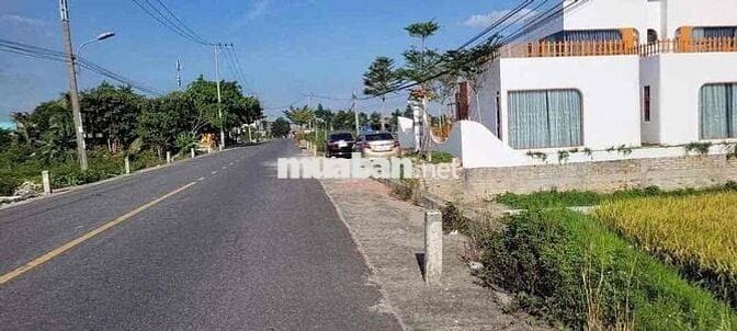 420m măt tiền đg nhua.  xac đg vành đai.
