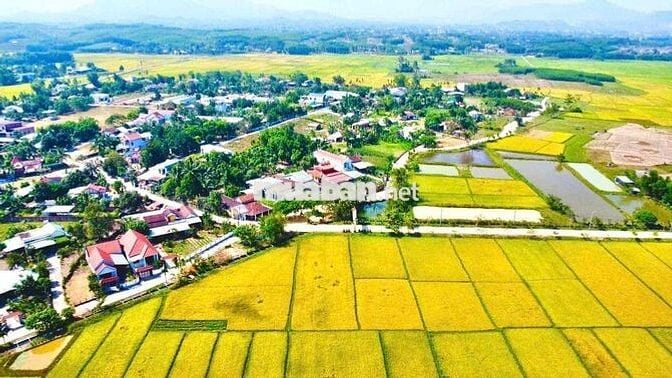 420m măt tiền đg nhua.  xac đg vành đai.