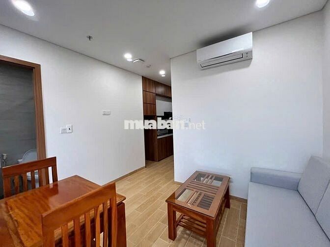 Cho thuê căn hộ 1 phòng ngủ ngay trung tâm thành phố
