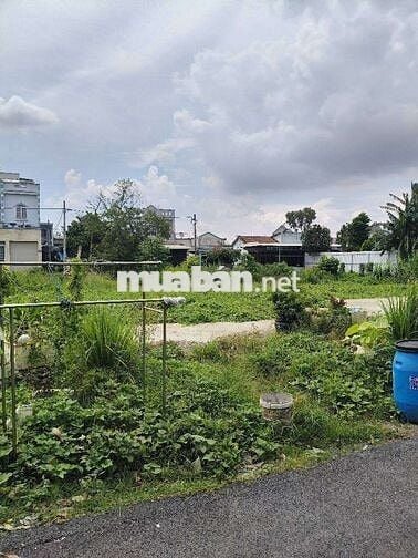 BÁN ĐẤT HÓC MÔN - ĐƯỜNG XE TẢI - DT KHỦNG - GIÁ CỰC RẺ