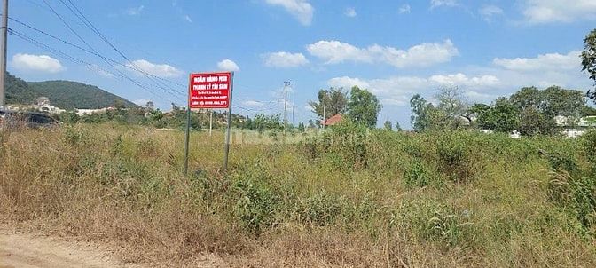 THÔNG BÁO ĐẤU GIÁ TÀI SẢN THEO THỦ TỤC RÚT GỌN