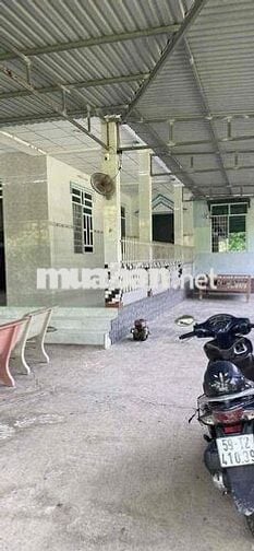 Cần Bán nhà+đất 8200m2 gần chợ phước hưng, sổ hồng riêng
