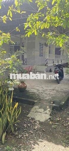 Cần Bán nhà+đất 8200m2 gần chợ phước hưng, sổ hồng riêng
