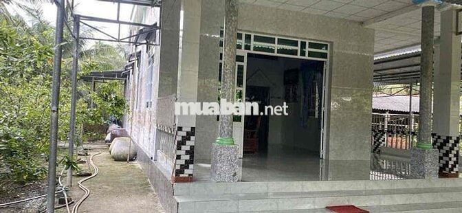 Cần Bán nhà+đất 8200m2 gần chợ phước hưng, sổ hồng riêng