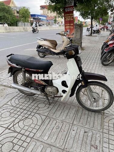 Dream loncin