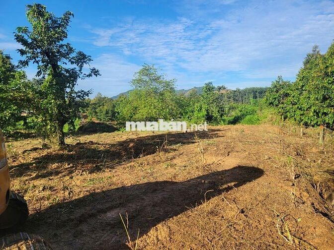 mặt đường nam cát tiên-đạ tẻ (50met)