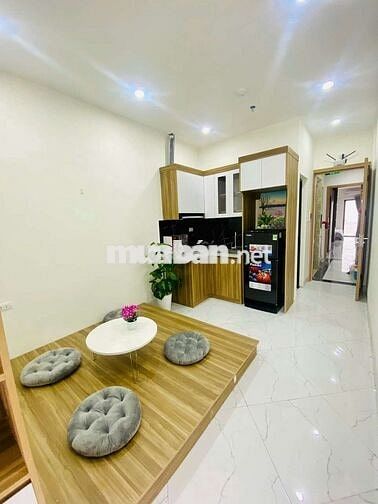 Cho thuê CCMN 1n1k 35m2 full đồ. Ban công, máy giặt riêng - Hồ Đắc Di