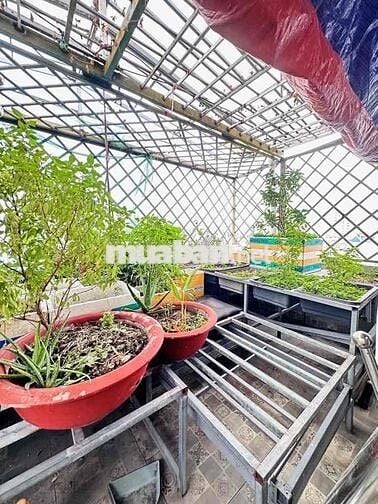 SIÊU PHẨM BIỆT THỰ 5 TẦNG MẶT TIỀN TRUNG MỸ TÂY QUẬN 12