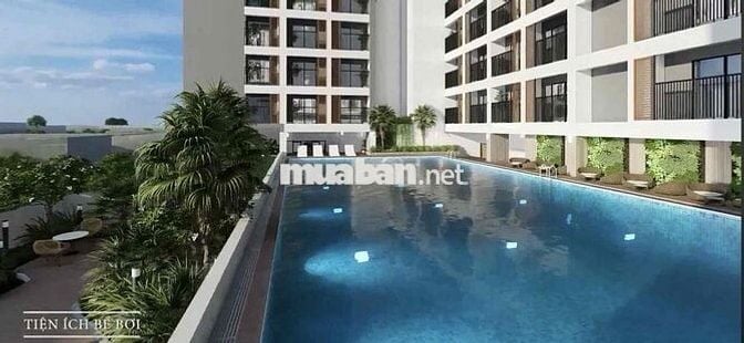 Cho thuê căn hộ New Lavida Dĩ An tầng cao mát mẻ. Tin chính chủ