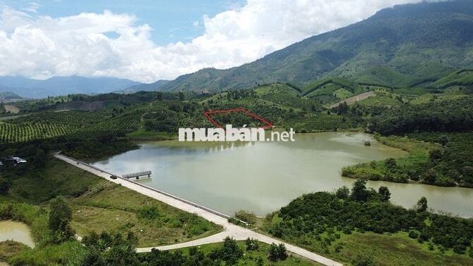 Đất view hồ 5,5 sào cà phê đẹp gần đường hầm Đà Lạt