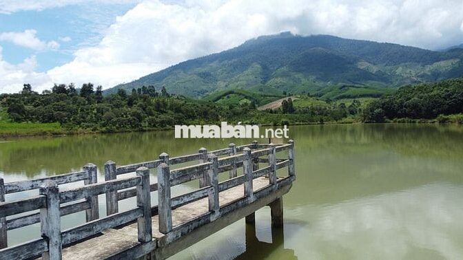 Đất view hồ 5,5 sào cà phê đẹp gần đường hầm Đà Lạt