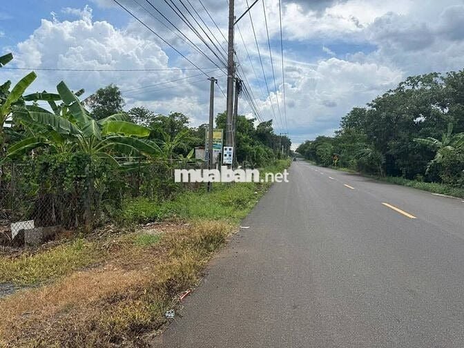 1 sào lẻ có ao, có nhà rẫy 295tr cách DT.753 chỉ chưa tới 1km