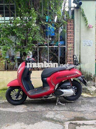 Scoopy Indo lướt chính chủ.