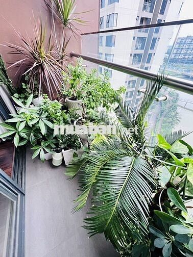 Căn Hộ Mizuki Park 78m2 2PN View Kênh Đào, Full Nội Thất ở ngay, 4,4Tỷ