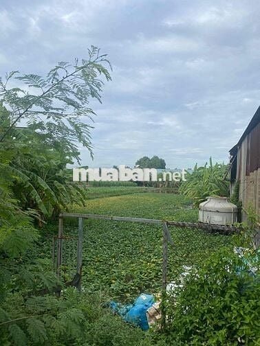 Chính chủ gia đình cần bán đất vị trí đẹp thuộc xã Bình Chánh