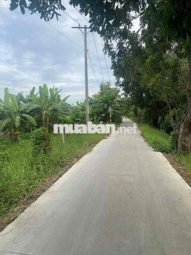 Chính chủ gia đình cần bán đất vị trí đẹp thuộc xã Bình Chánh