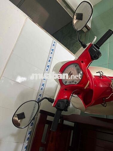 xe 50 học sinh