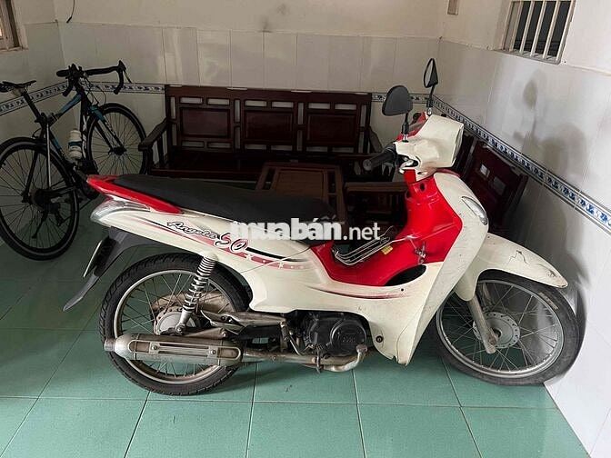 xe 50 học sinh