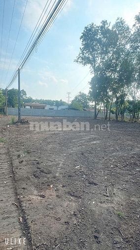 Bán đất tại Quốc lộ 91, Mỹ Phú, Châu Phú, An Giang, 21 tỷ, 1100 m2 đẹp