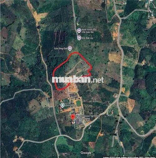 BÁN LÔ ĐẤT 30.000m2 NGAY TRUNG TÂM DU LỊCH ĐẠI LÀO – TP. BẢO LỘC 🌿