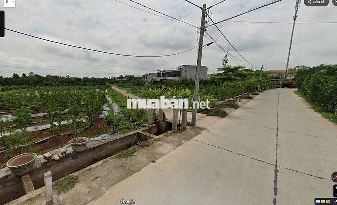 🏡 BÁN ĐẤT ĐẸP – GIÁ TỐT TẠI BÌNH LỤC, HÀ NAM 🏡