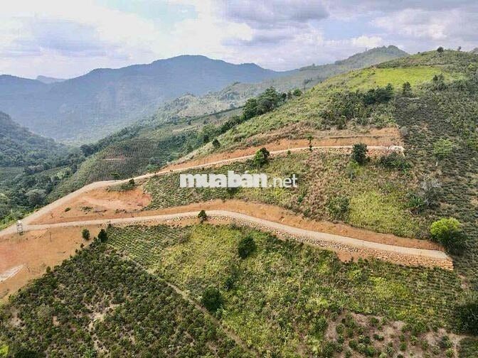 BÁN LÔ ĐẤT 30.000m2 NGAY TRUNG TÂM DU LỊCH ĐẠI LÀO – TP. BẢO LỘC 🌿