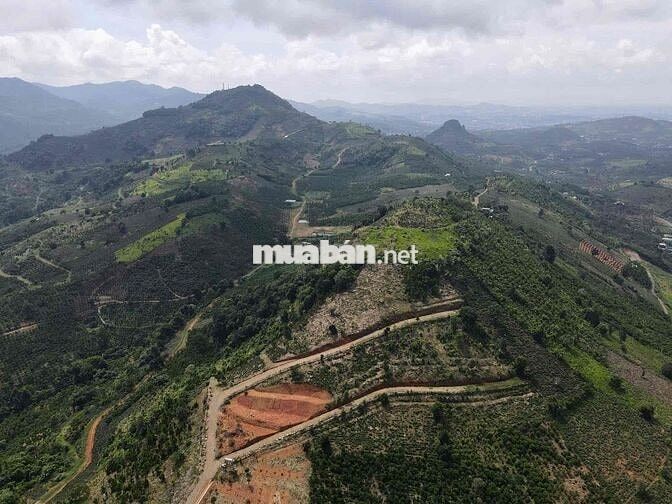 BÁN LÔ ĐẤT 30.000m2 NGAY TRUNG TÂM DU LỊCH ĐẠI LÀO – TP. BẢO LỘC 🌿