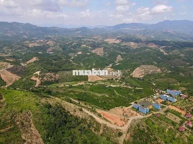 BÁN LÔ ĐẤT 30.000m2 NGAY TRUNG TÂM DU LỊCH ĐẠI LÀO – TP. BẢO LỘC 🌿