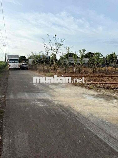 BÁN ĐẤT THỔ CƯ ĐƯỜNG NHỰA ĐI SÂN BAY LONG THÀNH