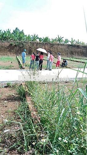 BÁN ĐẤT SÁT CHỢ SÔNG THAO BÀU HÀM 5/6/0TR
