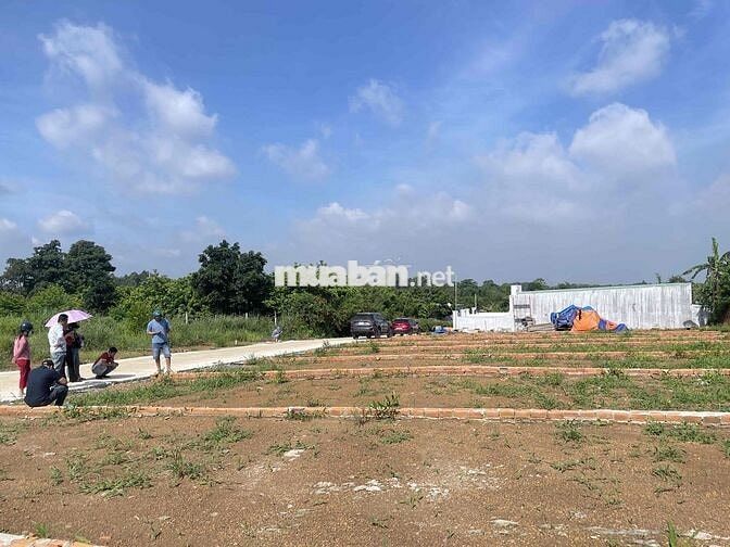 BÁN ĐẤT SÁT CHỢ SÔNG THAO BÀU HÀM 5/6/0TR